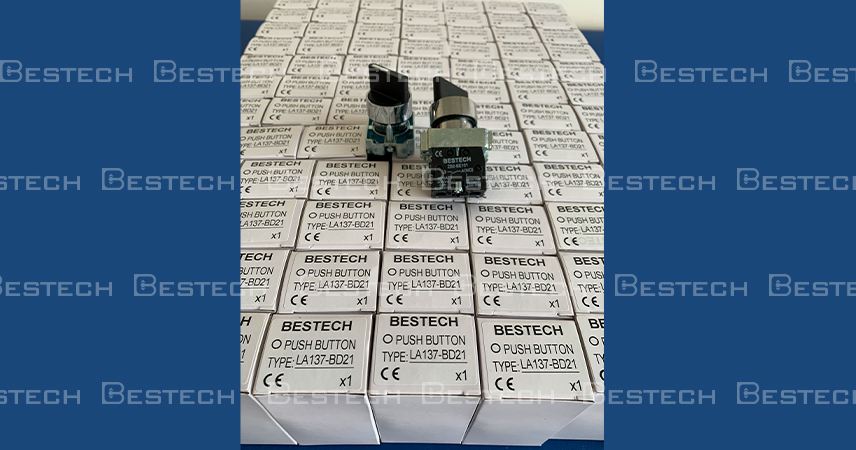 Inspection / normal switch (NO)